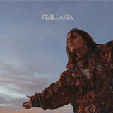 チェルシー・カトラー（Chelsea Cutler）『Stellaria』電子&生楽器のサウンドに乗せて、コロナ禍の葛藤やガールフレンドとの出会いを歌う