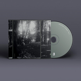 エイヨルフ・ダーレ（Eyolf Dale）『The Wayfarers』自由な新感覚を備えた、聴けば聴くほど楽しめるノルウェーのピアノトリオ作品