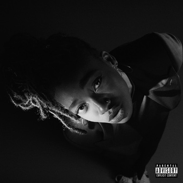 リトル・シムズ（Little Simz）『GREY Area』に〈ビート
