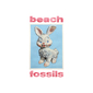 ビーチ・フォッシルズ（Beach Fossils）『Bunny』アズテック・カメラあたりのネオアコ成分にストリングスなども加えた意欲溢れる4作目