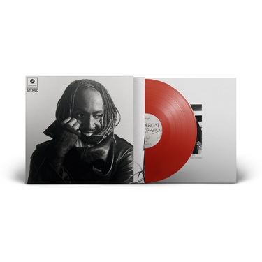 Thundercat サンダーキャット 直筆サイン レコード LP