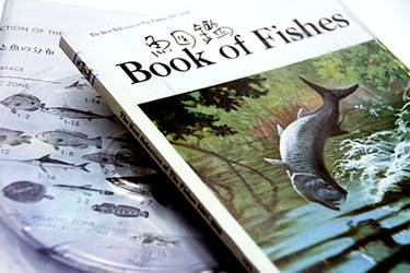 け*じ様 サカナクション　魚図鑑and N°01 カタログ/インタビュー サカナクション『魚図鑑』分析不能なバンドとその楽曲を、自分たちの手