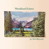 ニック・ヘイワード 『Woodland Echoes』 20年ぶりの新作でも変わらぬ瑞々しい歌声&ビートルズ愛溢れるポップな楽曲