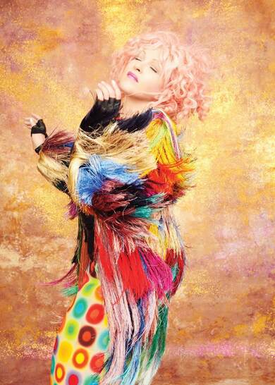 鮎*）様 絶版　希少　Cyndi Lauper 30周年記念ツアー パンフレット 鮎*）様 絶版 希少 Cyndi Lauper 30周年記念ツアー パンフレット