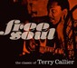 テリー・キャリアー『Free Soul. the classic of Terry Callier』初期から復活期、ポール・ウェラーやNujabesとの共演までフォーキーソウルの偉人のキャリアを総括