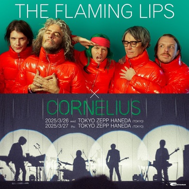 ■究極限定6LP ボックス■THE FLAMING LIPS / ザ・フレーミン The Flaming Lips（ザ・フレーミング・リップス）｜2002年に発表