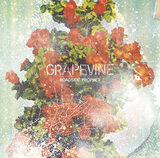 GRAPEVINE 『ROADSIDE PROPHET』 社会風刺的なロック・スピリットや骨太な音が光るデビュー20周年作