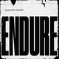 スペシャル・インタレスト（Special Interest）『Endure』性急なダンスビートに乗せて自由に歌う、狂気と正気が同居したノーウェーブバンドの新作