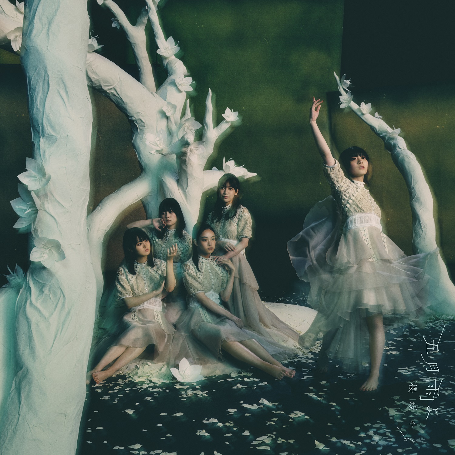 櫻坂46『五月雨よ』山﨑天、渡邉理佐、守屋麗奈、森田ひかるが語る、現