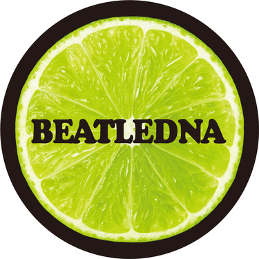 なぜビートルズ的な音楽は僕らを魅了し続けるのか Beatledna ディレクターに ビートルズの遺伝子ディスク ガイド 監修者が訊いた Mikiki