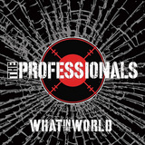 プロフェッショナルズ 『What In The World』 ピストルズのポール・クックらによるロックンロール・バンド、36年ぶりの新作!