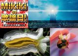 平沢進、Buffalo Daughter、ウ山あまね、みらん、茶封筒……Mikiki編集部員が選ぶ今週の邦楽5曲