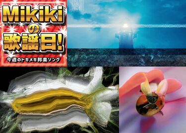 平沢進 Buffalo Daughter ウ山あまね みらん 茶封筒 Mikiki編集部員が選ぶ今週の邦楽5曲 Mikiki