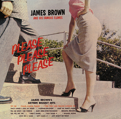 97年 当時物！ジェームスブラウン James Brown 来日 ポスター（額付 97年 当時物！ジェームスブラウン James Brown 来日 ポスター（額付