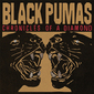 ブラック・ピューマズ （Black Pumas）『Chronicles Of A Diamond』奥行きあるプロダクションとシンプルな歌心を楽しめる4年ぶりの新作